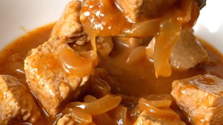 A shallow white bowl filled with tender, golden-tan pork cubes in a thick, savory red-brown tomato gravy with onions.