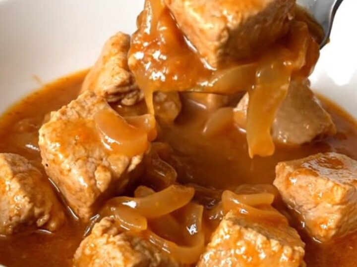 A shallow white bowl filled with tender, golden-tan pork cubes in a thick, savory red-brown tomato gravy with onions.