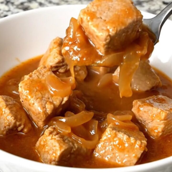 A shallow white bowl filled with tender, golden-tan pork cubes in a thick, savory red-brown tomato gravy with onions.