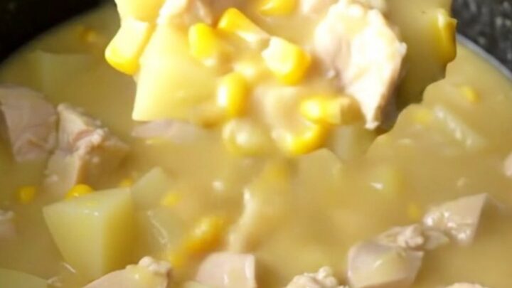 A creamy, white chowder in a slow cooker filled with chicken chunks, corn, and potatoes.