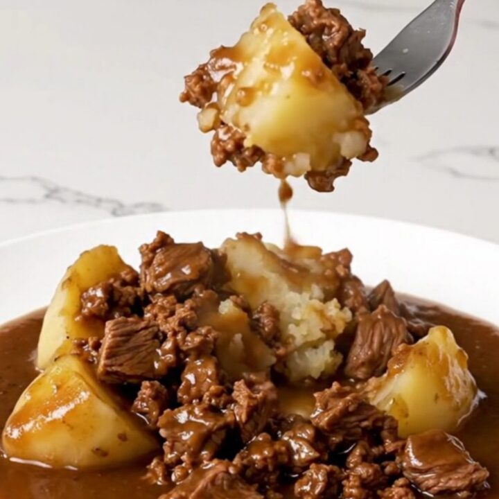 A close-up of a bowl filled with tender ground beef, soft potato chunks, and rich brown gravy.