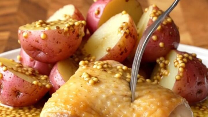 A close-up of a perfectly cooked chicken thigh and red potatoes in a creamy mustard sauce on a white plate.
