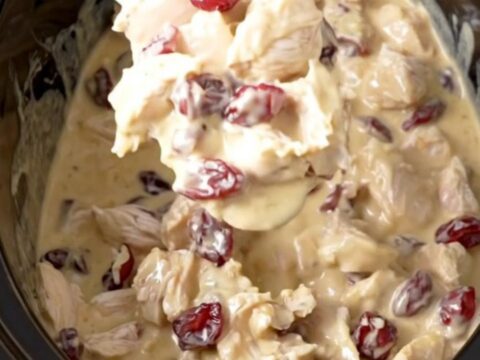 A rustic slow cooker filled with a creamy chicken, cranberry, and pecan dip.