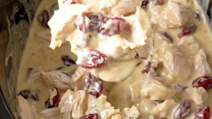 A rustic slow cooker filled with a creamy chicken, cranberry, and pecan dip.