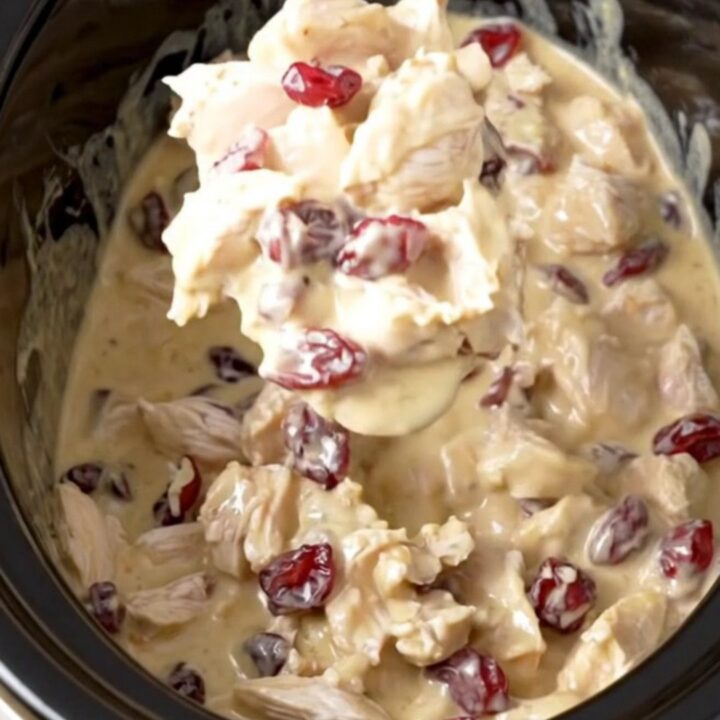 A rustic slow cooker filled with a creamy chicken, cranberry, and pecan dip.