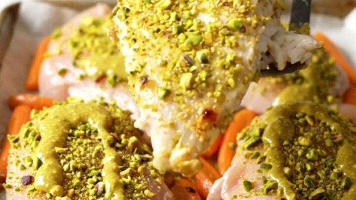 A sheet pan filled with perfectly roasted chicken breasts topped with a vibrant green pistachio crust and golden orange