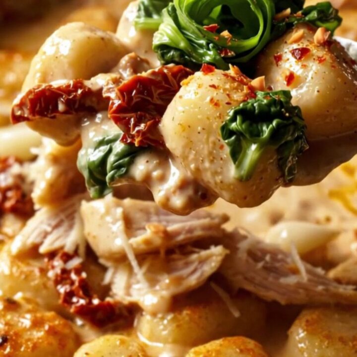A close-up shot of golden-seared gnocchi and shredded chicken coated in a creamy sun-dried tomato sauce in a skillet.
