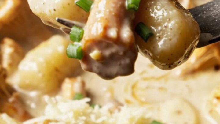 A close-up shot of golden chanterelle mushrooms and gnocchi in a creamy sauce, garnished with fresh chives.