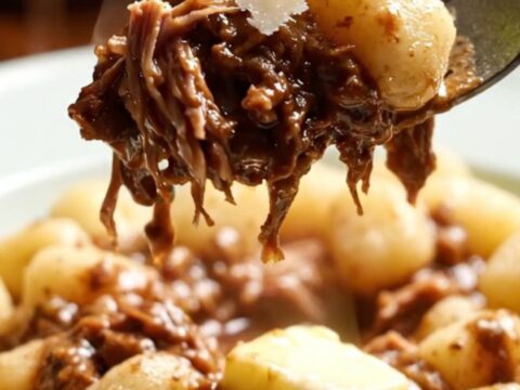 A close-up of a bowl of pillowy gnocchi covered in a rich, dark red wine lamb ragu with shaved Pecorino and mint.
