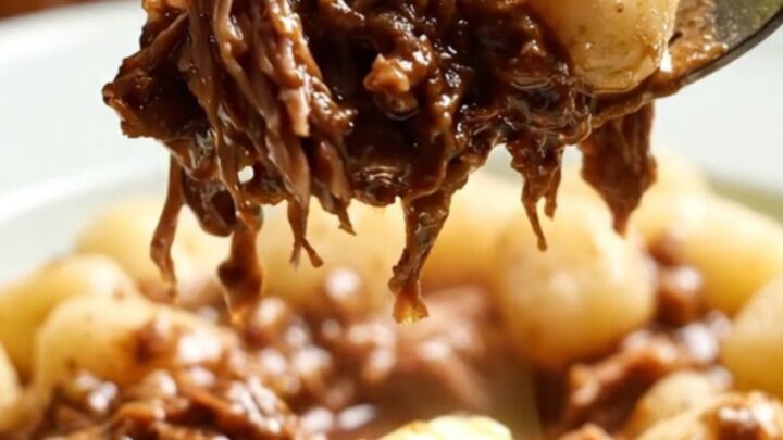 A close-up of a bowl of pillowy gnocchi covered in a rich, dark red wine lamb ragu with shaved Pecorino and mint.