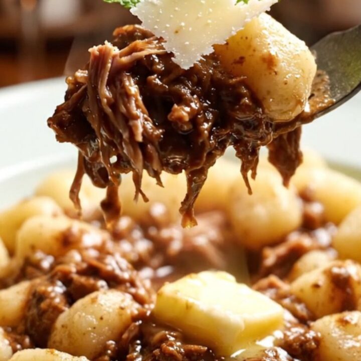 A close-up of a bowl of pillowy gnocchi covered in a rich, dark red wine lamb ragu with shaved Pecorino and mint.