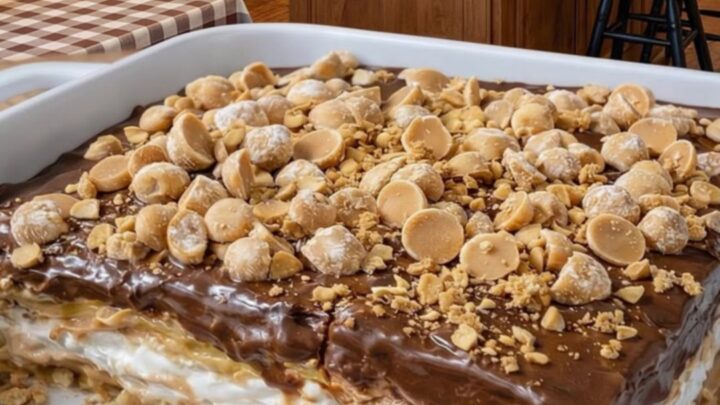A decadent slice of peanut butter crunch lasagna showing distinct layers of cream, peanut butter, and chocolate fudge.