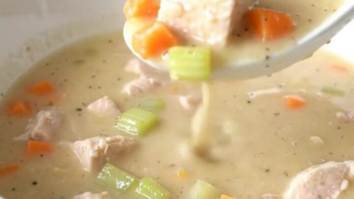 A shallow white bowl filled with creamy chicken velvet soup featuring visible chicken cubes and carrots.