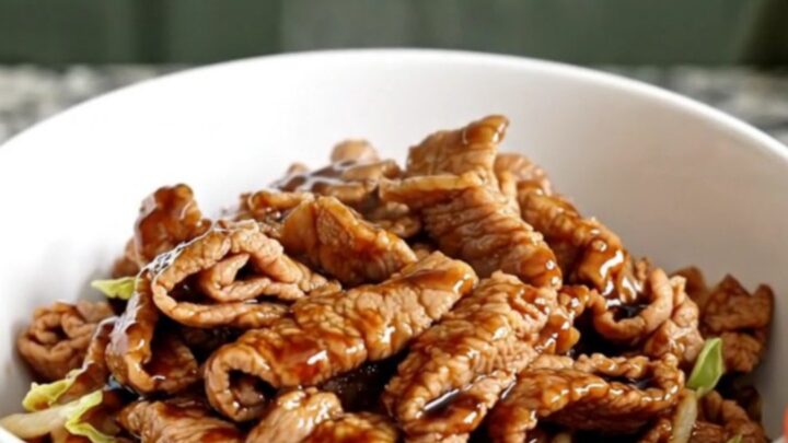 A shallow white bowl filled with braised pork, shredded cabbage, and carrots in a savory soy-ginger sauce.