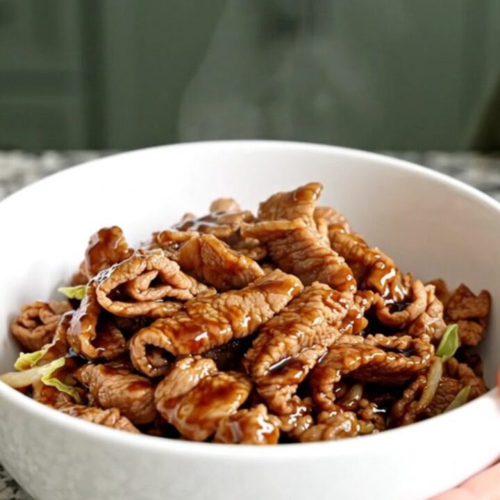 A shallow white bowl filled with braised pork, shredded cabbage, and carrots in a savory soy-ginger sauce.