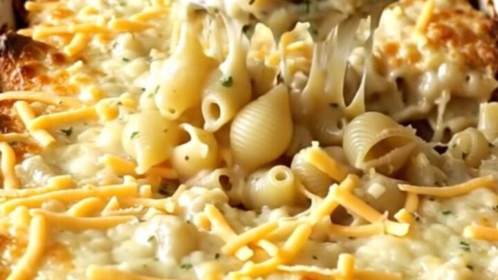 A top-down view of a rectangular baking dish filled with dry pasta shells and creamy garlic herb sauce.