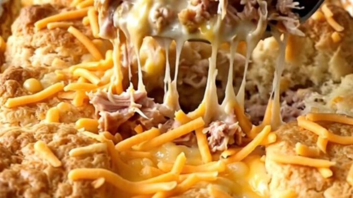 A top-down view of a creamy jalapeno popper turkey bake in a rectangular ceramic dish
