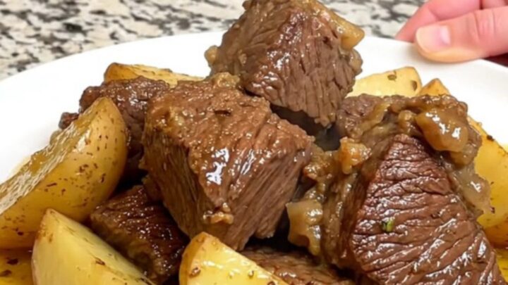 A close-up shot of slow-cooked beef chunks and gold potatoes in a savory lemon-oregano broth.