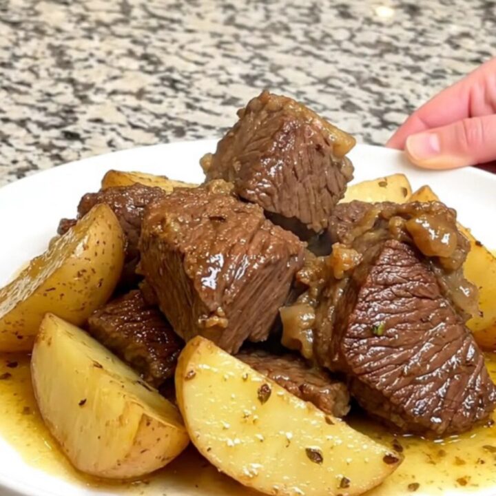 A close-up shot of slow-cooked beef chunks and gold potatoes in a savory lemon-oregano broth.