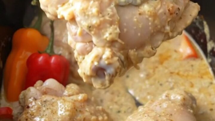 A white slow cooker filled with creamy chicken thighs and vibrant red, orange, and yellow mini peppers.