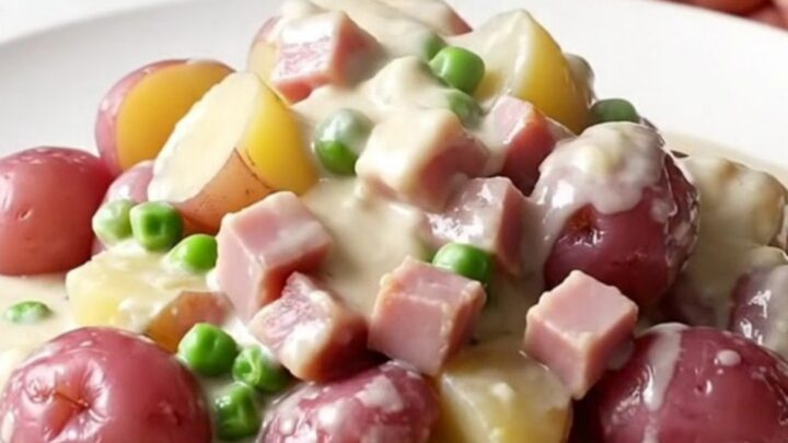 A rustic, close-up shot of a white plate filled with creamy diced ham, baby red potatoes
