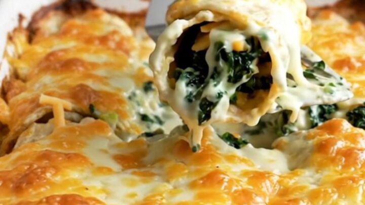 A top-down view of a rectangular ceramic baking dish filled with spinach and cheese enchiladas covered in white sauce.