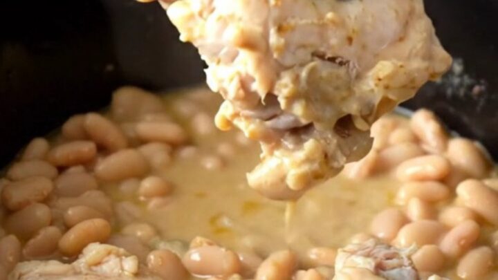 A rustic bowl of slow-cooked chicken thighs nestled among white beans in a savory rosemary sauce.