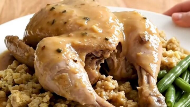 A white oval slow cooker filled with cooked chicken breasts, green beans, and herb stuffing in gravy.