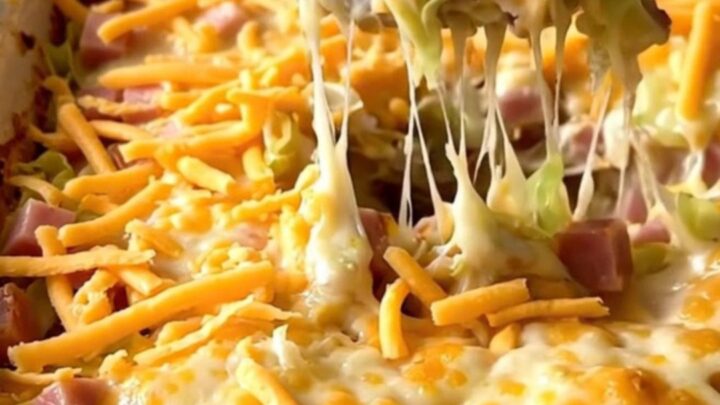 Top-down view of a ceramic baking dish filled with fresh cabbage, cubed ham, and creamy sauce topped with shredded cheddar.