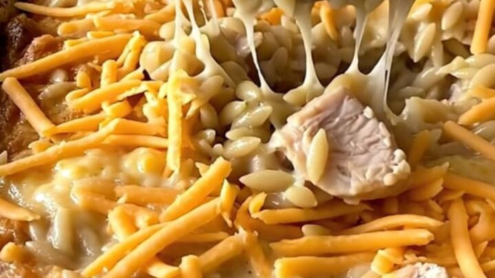 A top-down view of a rectangular ceramic baking dish filled with raw orzo, chicken, and broccoli on a granite countertop.
