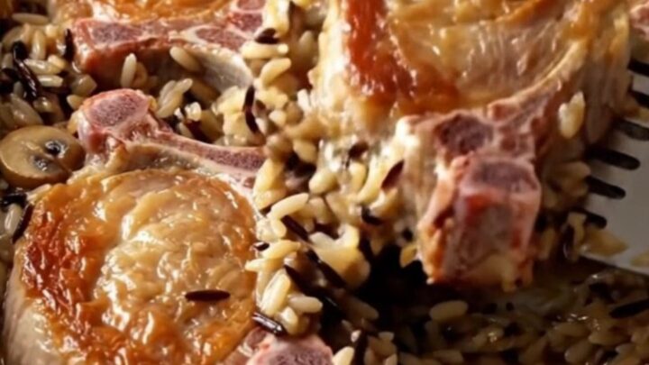 A golden-brown baked pork chop served over a bed of creamy wild rice in a white ceramic dish.