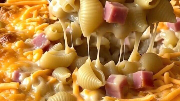 A top-down view of a rectangular baking dish filled with raw pasta shells, ham cubes, and liquid