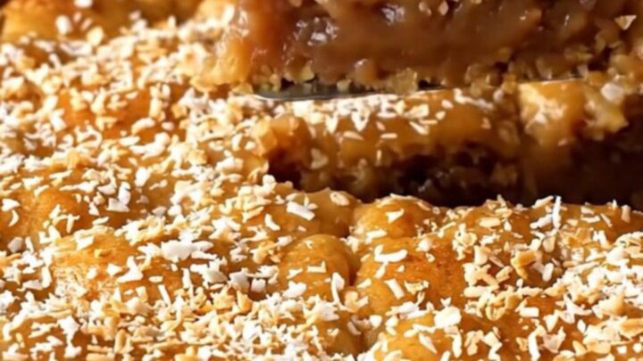 A golden, crustless oatmeal pie in a white ceramic dish with a toasted coconut topping.