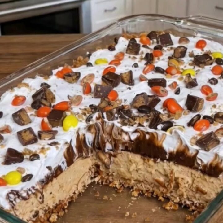 A slice of decadent peanut butter and chocolate layered dessert on a plate with visible layers.