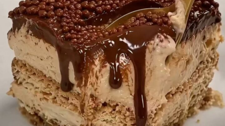 A square slice of layered mocha biscuit pudding showing distinct cream and biscuit layers with a glossy ganache top.