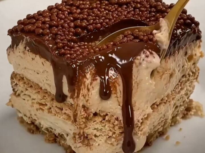 A square slice of layered mocha biscuit pudding showing distinct cream and biscuit layers with a glossy ganache top.