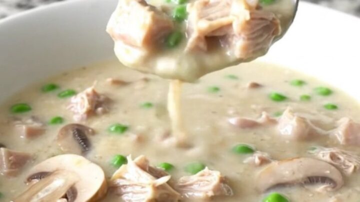 A bowl of creamy turkey alfredo soup with mushrooms and peas on a granite countertop.