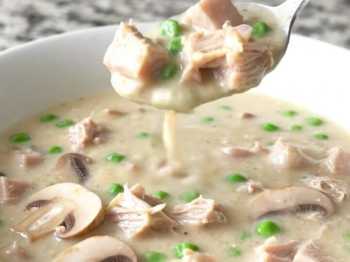 A bowl of creamy turkey alfredo soup with mushrooms and peas on a granite countertop.