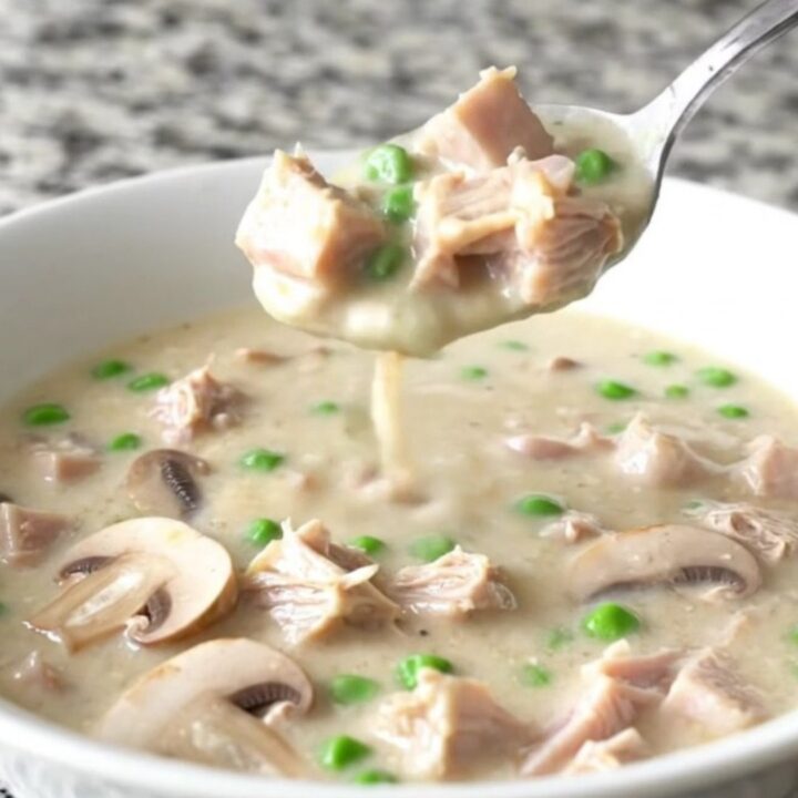 A bowl of creamy turkey alfredo soup with mushrooms and peas on a granite countertop.
