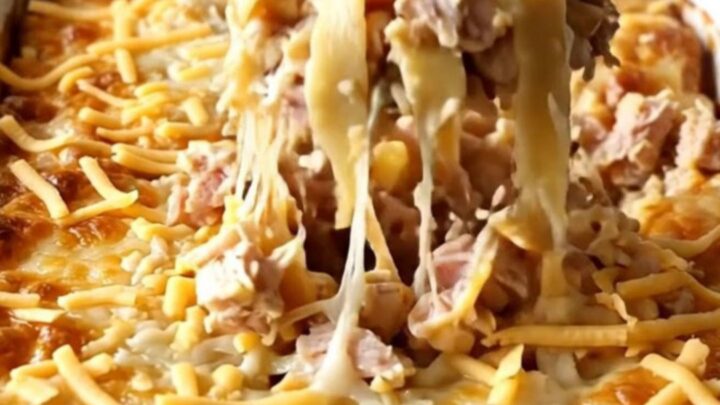 A rectangular baker filled with a golden, cheesy baked noodle and ground turkey dish.