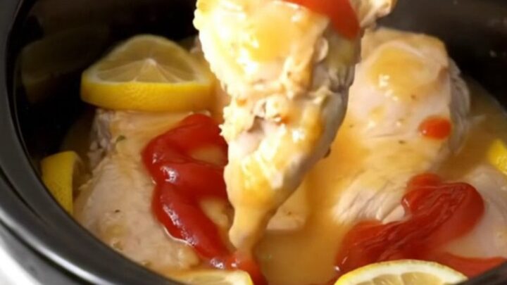 A close-up view of tender, cooked chicken breasts glazed in a glossy, sweet, and tangy lemonade sauce with lemon slices.