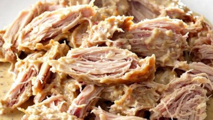 A close-up of shredded turkey tenderloins coated in a rich, creamy Italian sauce on a white plate.