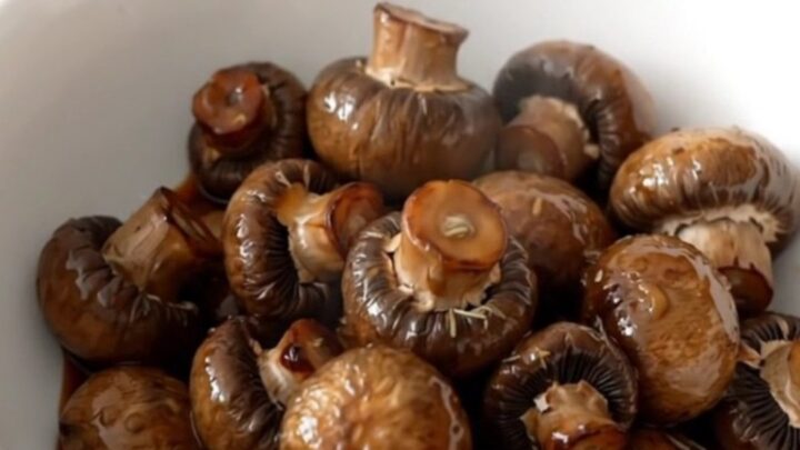 A shallow white bowl filled with dark, wine-braised button mushrooms in a glossy, rich brown buttery sauce.