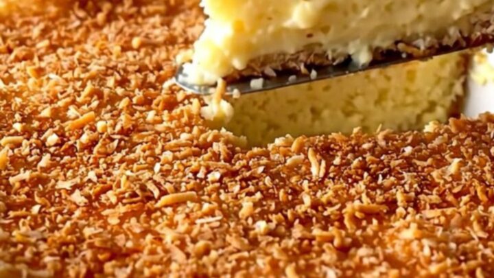 A top-down view of a creamy coconut custard pie in a white ceramic dish with a golden toasted coconut top.