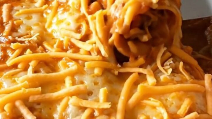 A top-down view of a rectangular baking dish filled with golden-brown, cheese-topped enchiladas.