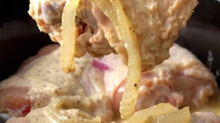 A close-up of tender, braised chicken thighs coated in creamy white barbecue sauce with soft onion slices.