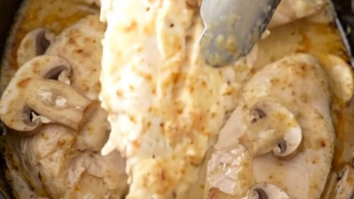 A close-up of tender chicken breasts served in a creamy mushroom sauce, garnished with a sprinkle of paprika.