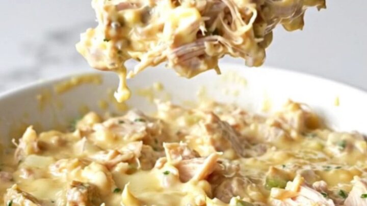 A shallow white bowl filled with creamy hot chicken salad dip with melted cheddar cheese.
