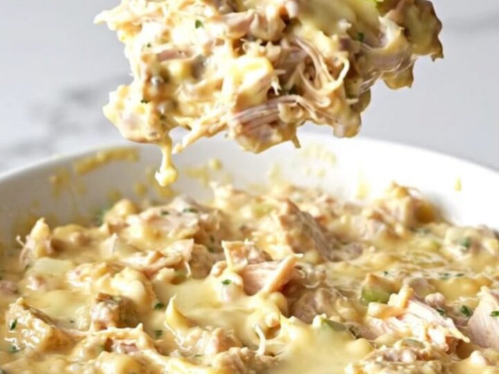 A shallow white bowl filled with creamy hot chicken salad dip with melted cheddar cheese.