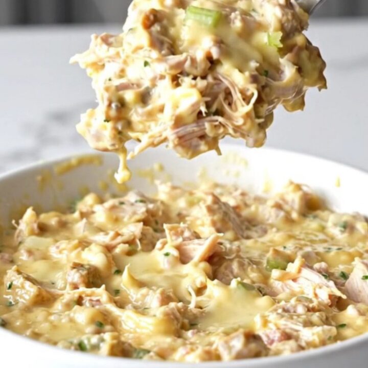 A shallow white bowl filled with creamy hot chicken salad dip with melted cheddar cheese.